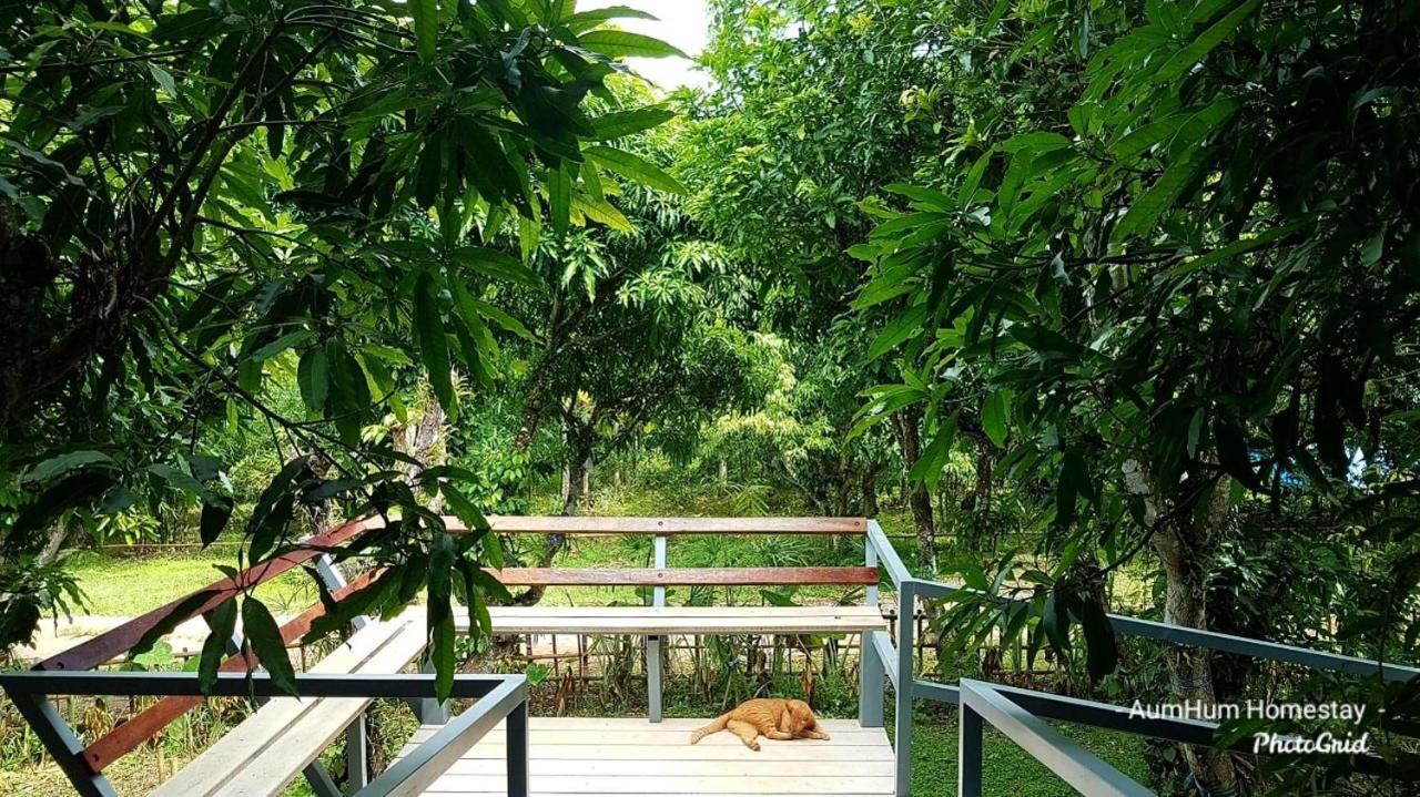 Aum Hum Homestay Fang Екстериор снимка