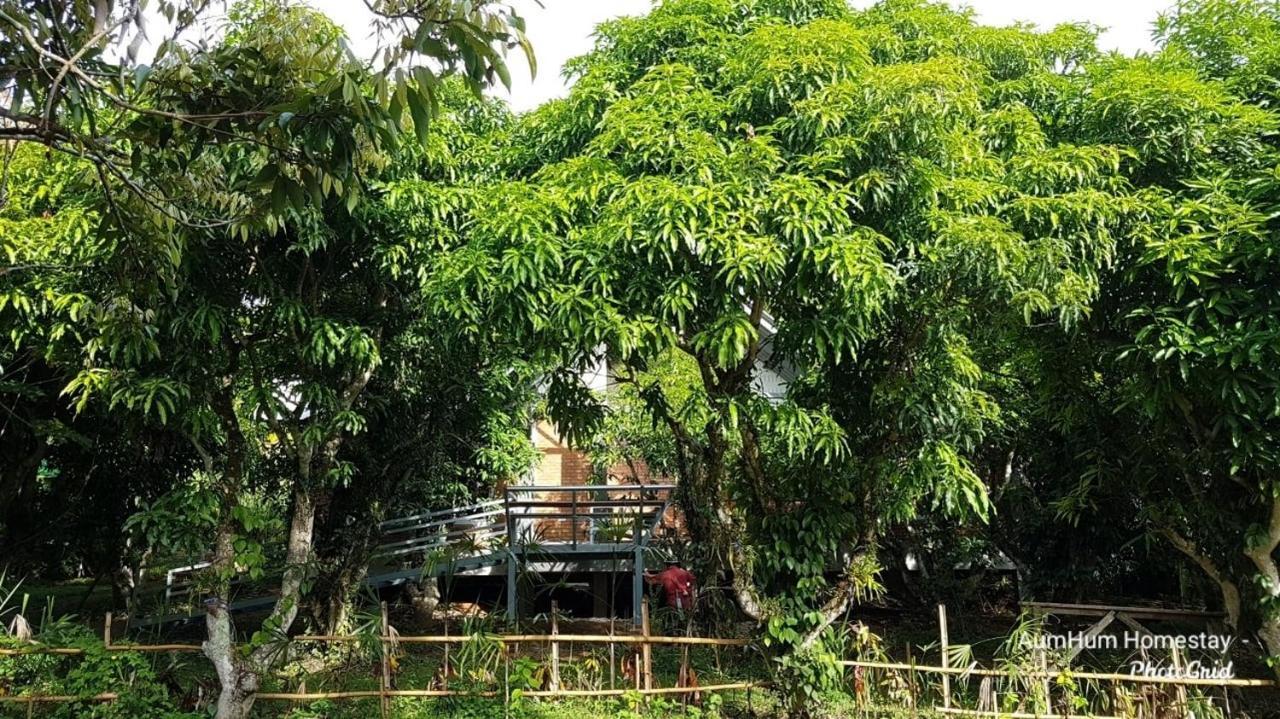 Aum Hum Homestay Fang Екстериор снимка