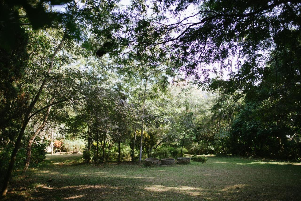 Aum Hum Homestay Fang Екстериор снимка