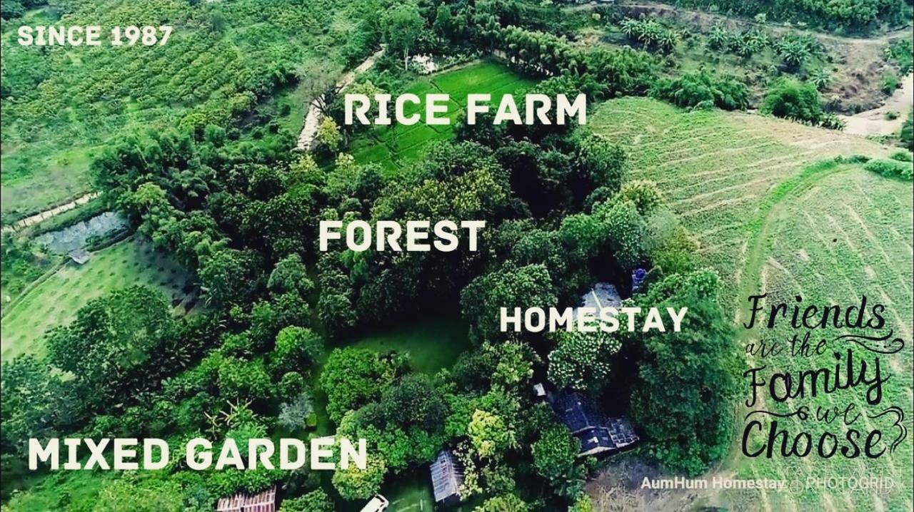 Aum Hum Homestay Fang Екстериор снимка